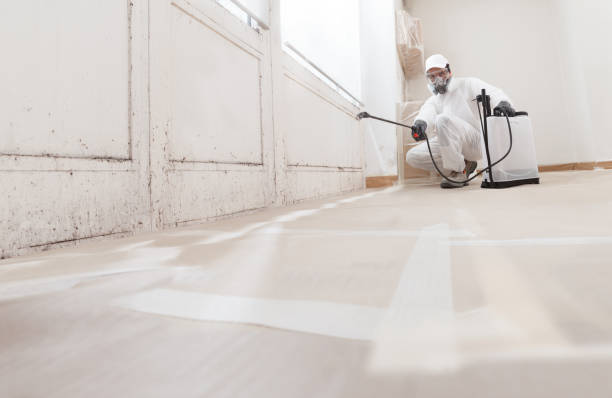 24/7 Emergency Attic Mold Removal experts in West Long Branch, NJ